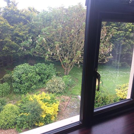 Rosslare Harbour Abrae House Guest House מראה חיצוני תמונה