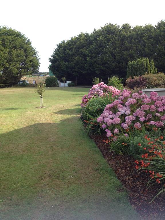 Rosslare Harbour Abrae House Guest House חדר תמונה