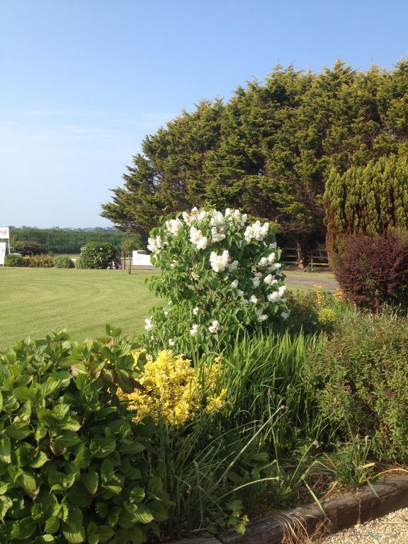 Rosslare Harbour Abrae House Guest House מראה חיצוני תמונה