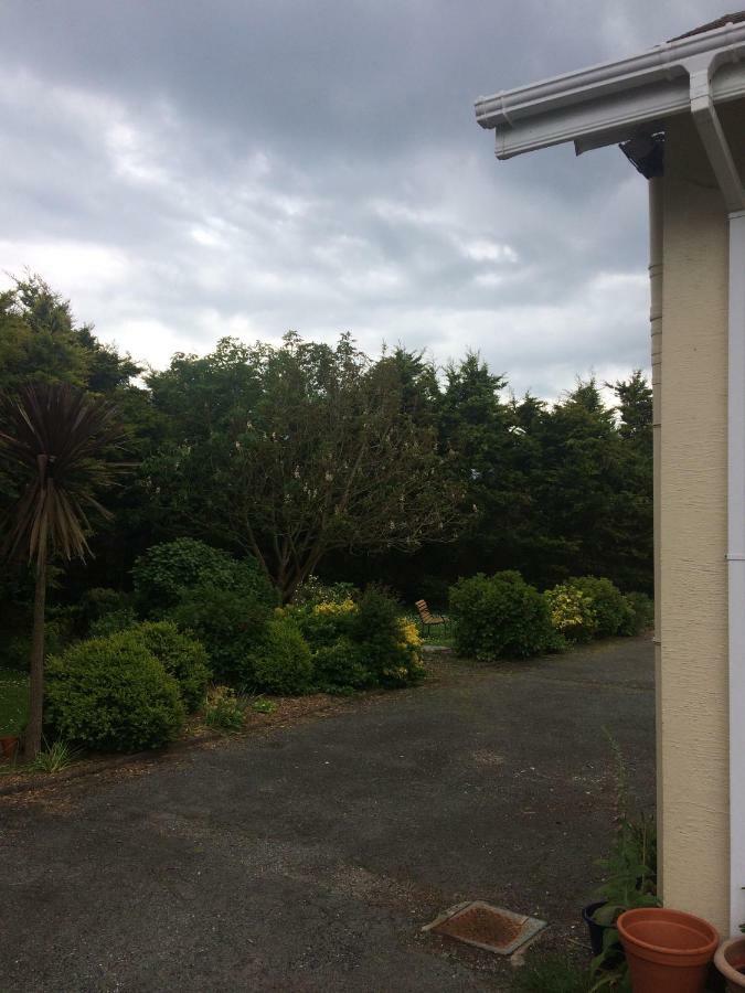 Rosslare Harbour Abrae House Guest House מראה חיצוני תמונה