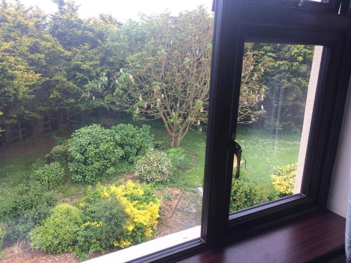 Rosslare Harbour Abrae House Guest House מראה חיצוני תמונה